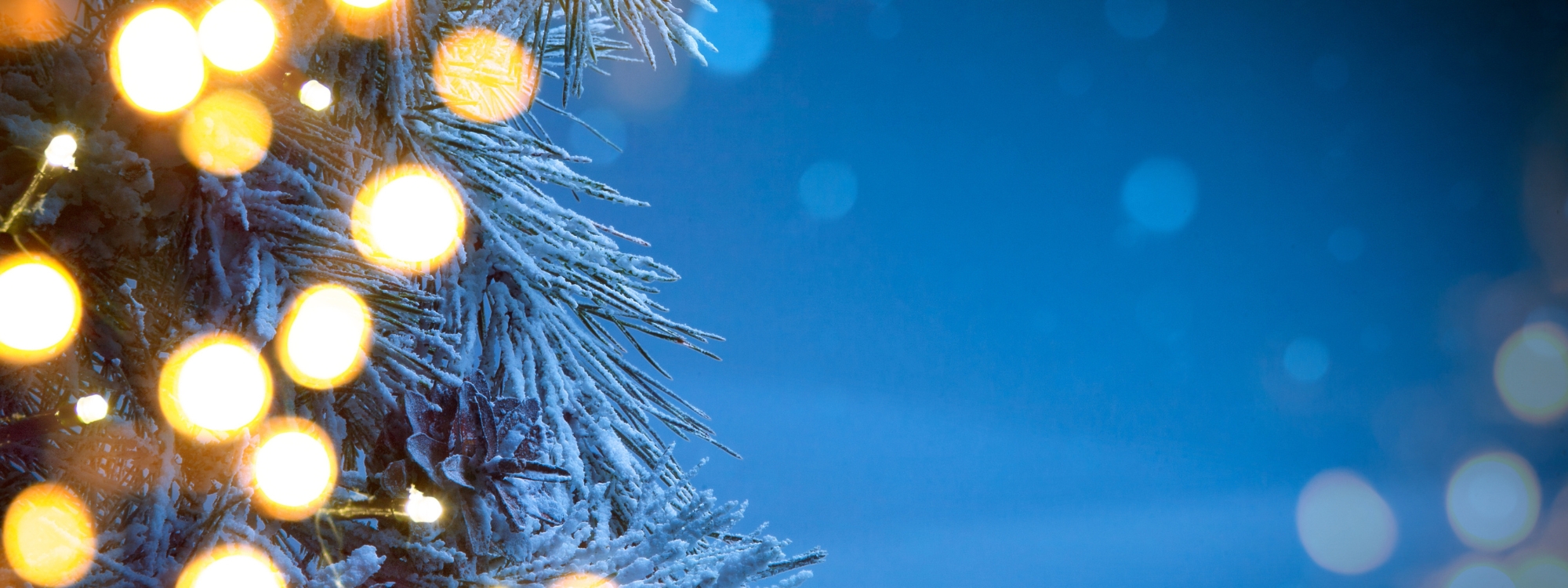 Carol Service*
Experience the good news of Christmas through carols and readings*
Sunday 21st December at 7pm